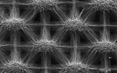 Technologie : Michelin mise sur les nanofibres