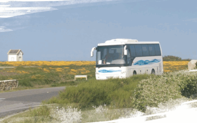 Car & Bus News revient le 18 août !
