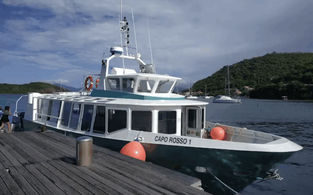 DROM. Point d’étape sur les bus de mer