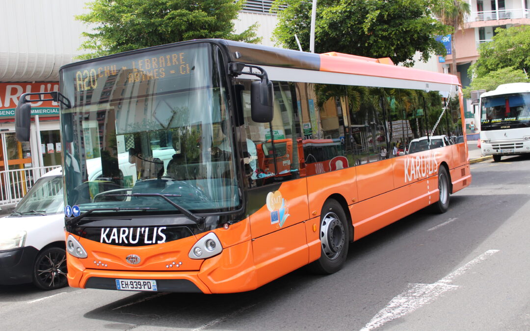 Tribune. Une autorité organisatrice unique en Guadeloupe, selon quel paradigme ?