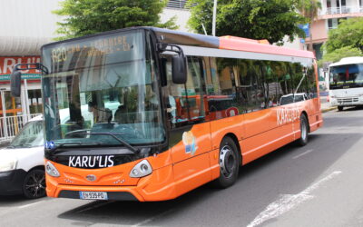 Tribune. Une autorité organisatrice unique en Guadeloupe, selon quel paradigme ?