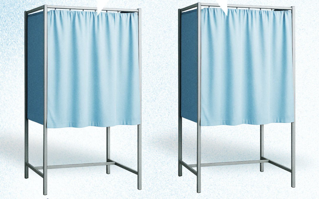 Les 15 et 22 mars, les élections comptent double !