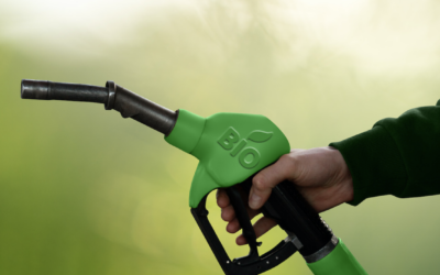IFPEN. Biocarburants : aérien et le maritime rebattent les cartes du marché
